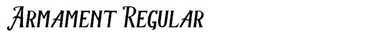 Armament Regular