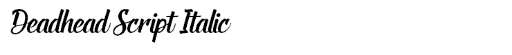 Deadhead Script Italic