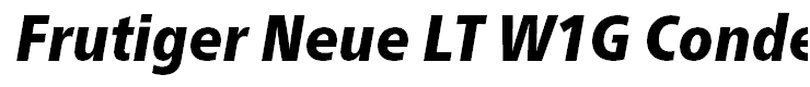 Frutiger Neue LT W1G Condensed Black Italic