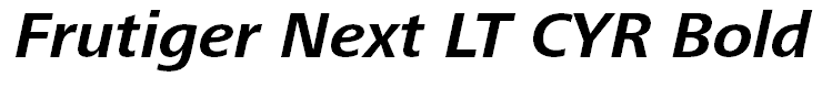 Frutiger Next LT CYR Bold Italic