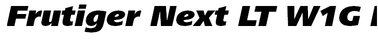 Frutiger Next LT W1G Black Italic