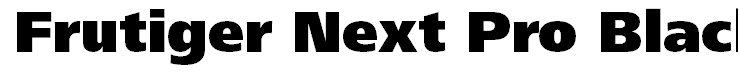 Frutiger Next Pro Black