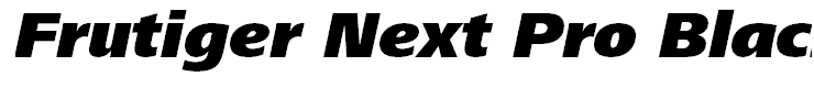 Frutiger Next Pro Black Italic