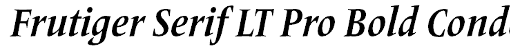 Frutiger Serif LT Pro Bold Condensed Italic