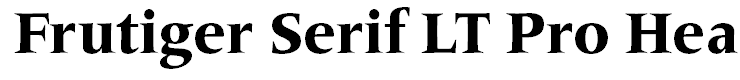 Frutiger Serif LT Pro Heavy