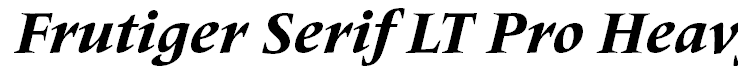 Frutiger Serif LT Pro Heavy Italic