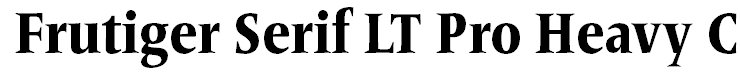 Frutiger Serif LT Pro Heavy Condensed