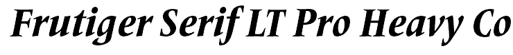 Frutiger Serif LT Pro Heavy Condensed Italic