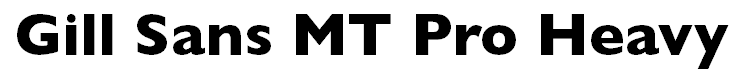 Gill Sans MT Pro Heavy
