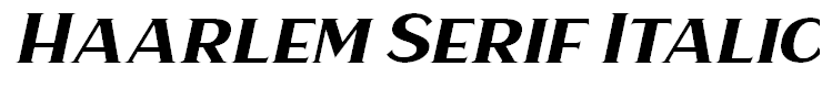 Haarlem Serif Italic
