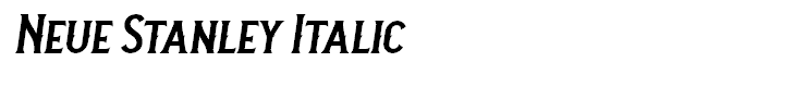 Neue Stanley Italic