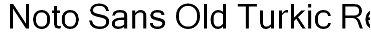 Noto Sans Old Turkic Regular