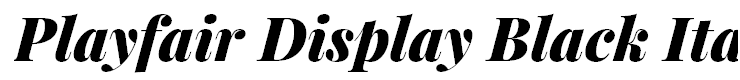 Playfair Display Black Italic