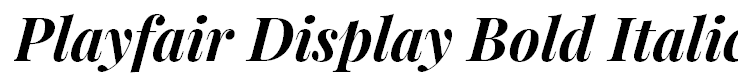 Playfair Display Bold Italic