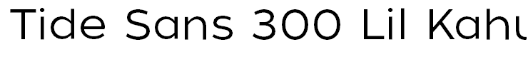 Tide Sans 300 Lil Kahuna