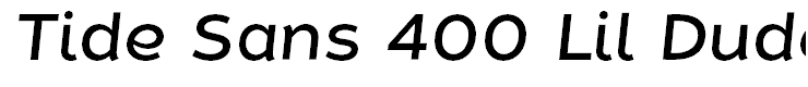 Tide Sans 400 Lil Dude Italic