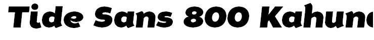 Tide Sans 800 Kahuna Italic