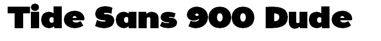 Tide Sans 900 Dude
