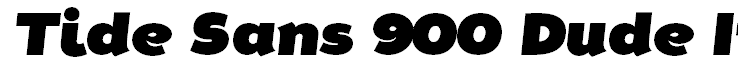 Tide Sans 900 Dude Italic